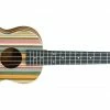 Adam Black ABUKT130 Tenor Ukulele Rainbow
