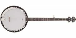 Pilgrim Progress VPB30G 5-String G Banjo