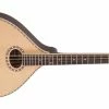 Pilgrim Celtic Dawn Mandola 1 Pilgrim Celtic Dawn Mandola -Guitar Parts Store pilgrim celtic dawn mandola